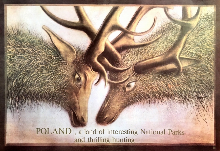 Poland, a land of interesting National Parks and thrilling hunting — Czerniawski Jerzy