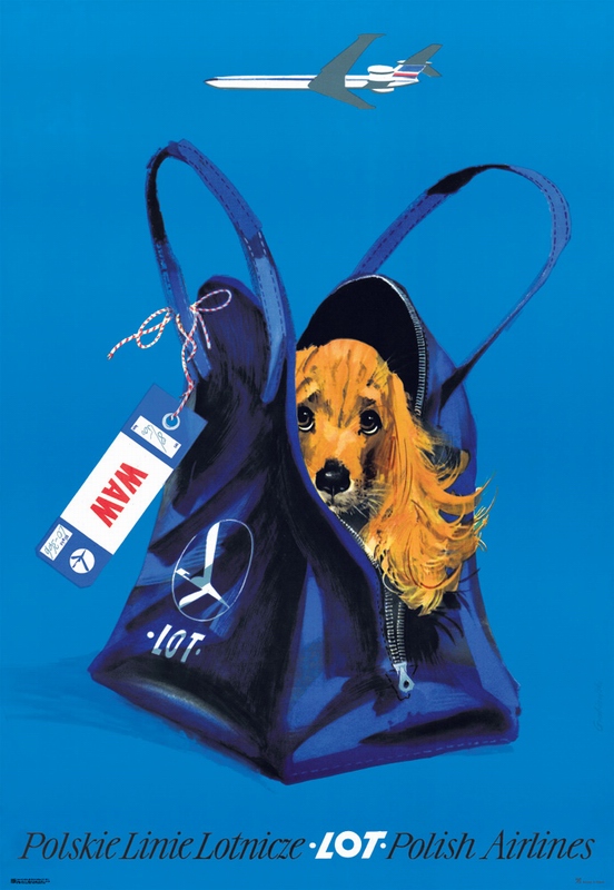 LOT Polish Airlines - Dog in a Bag — Grabiański Janusz