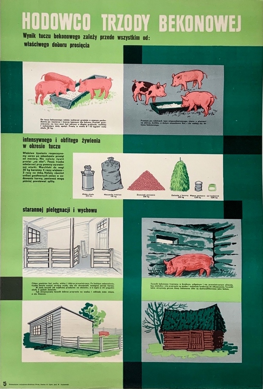 Bacon farmer — Janiszewski Władysław