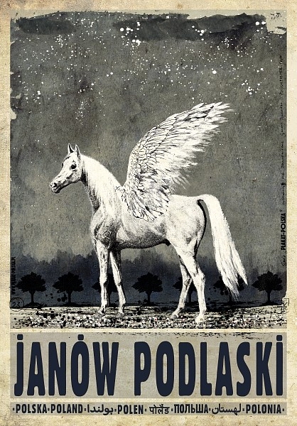Janow Podlaski, Poland — Kaja Ryszard