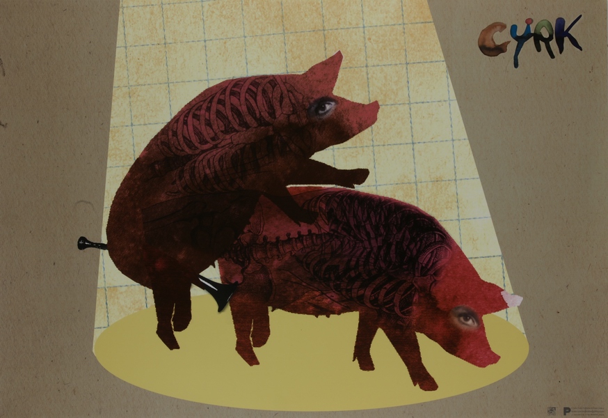 Circus Pigs — Renkas Kaja