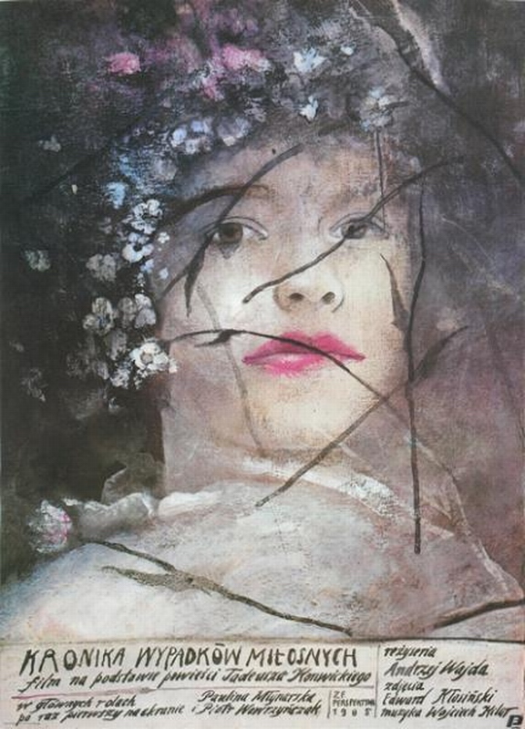 A Chronicle of Amorons Accidens — Sadowski Wiktor