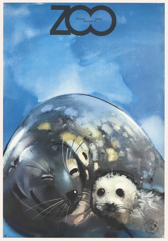 ZOO Grey Seals — Świerzy Waldemar
