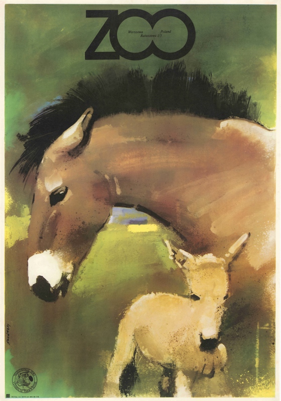 ZOO Przewalski Horses — Świerzy Waldemar