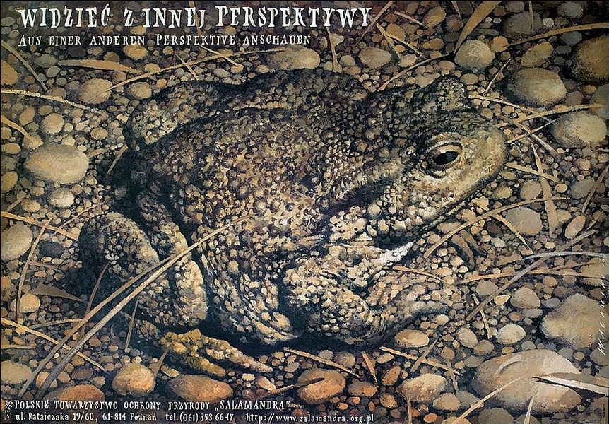To See from Other Perspective — Wałkuski Wieslaw